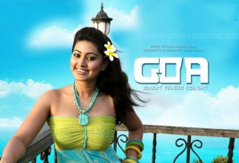 egal-dizsi-nasszer-silverstar-cafe-goa-party