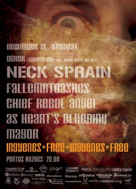 Neck Sprain (HU), Fallenintoashes (HU), Chief Rebel Angel (HU), As Heart’s Bleeding (HU), Magor (HU)