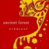 Overleaf